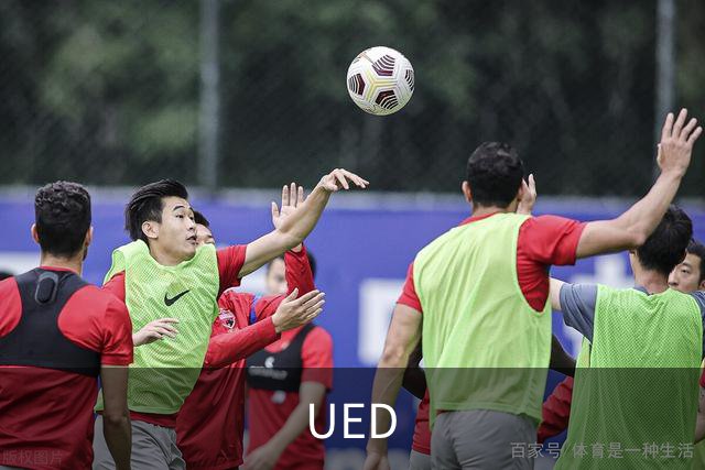 UED公司简介图片